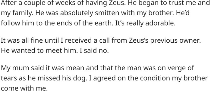 His previous owner said he wanted to stay involved. OP said okay at first. “Then, when it came to him giving me Zeus’s details for a microchip, insurance, vets, etc., he blanked me. I had to find this information myself.”