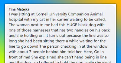 10+ Of The Funniest, Cutest, And Most Ridiculous Cat Veterinary Clinic Stories