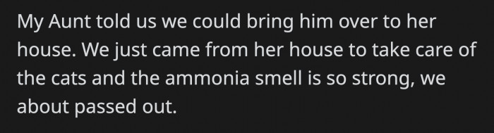 Her aunt asked her if she could just get the dog to her house, but they just finished another favor for her