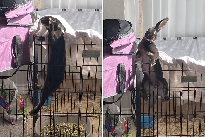 26. Morning Madness With The Demon