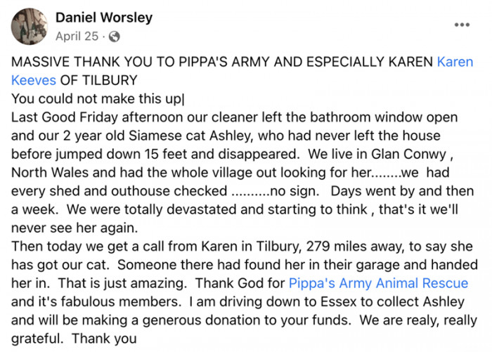 Ashley's owner shared the good news: