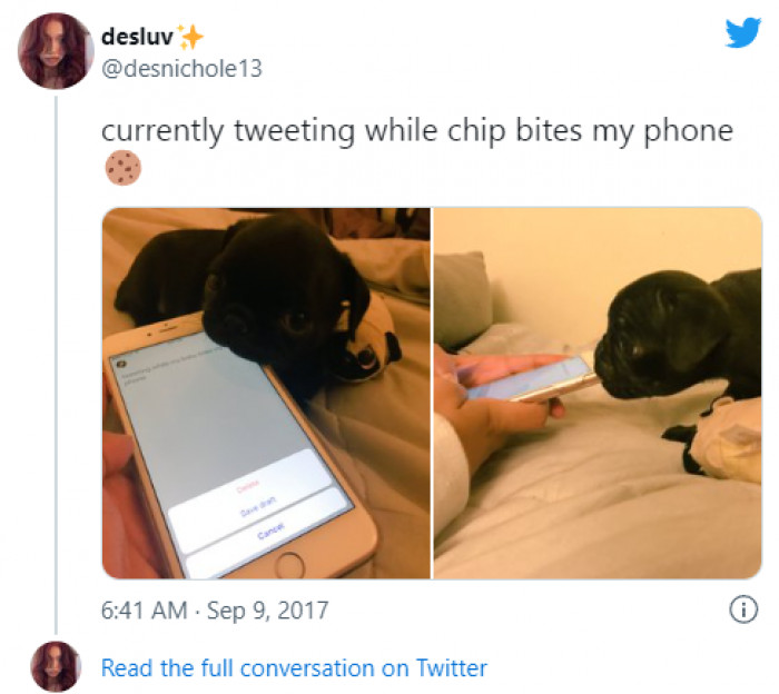 4. Leave that phone and play with me...