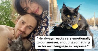 Vincent The Maine Coon Looks Like A Black Panther And We're Officially In Love