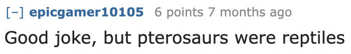 They were flying reptiles.