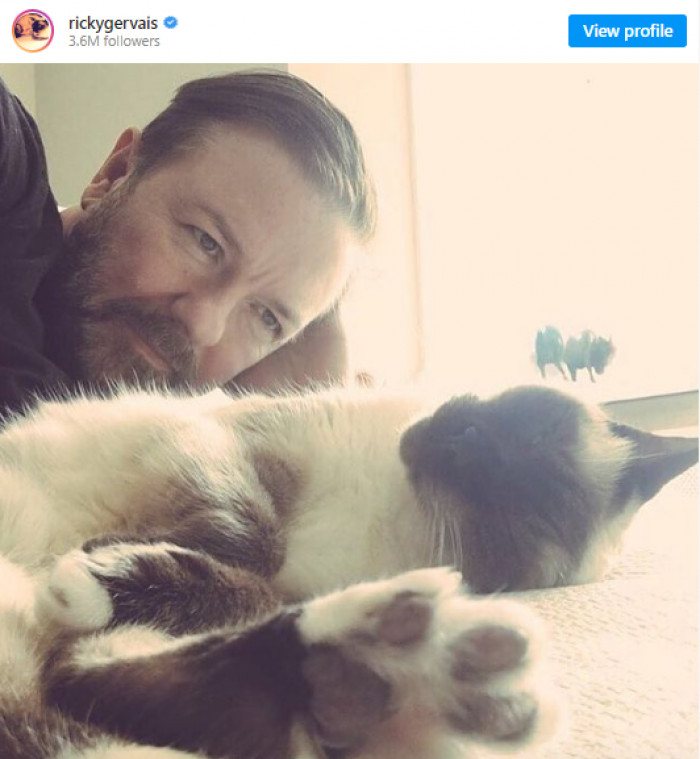 11. Ricky Gervais reminded us that #InternationalCatDay is celebrated every day: