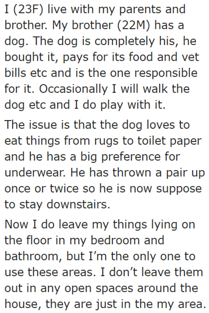 The OP lives with her family. Her brother owns a dog with chewing problems.