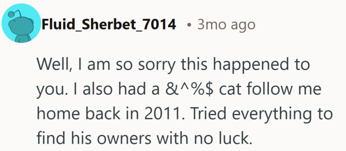Shared war story reminding us that once a determined cat follows you home, fate tends to take over.