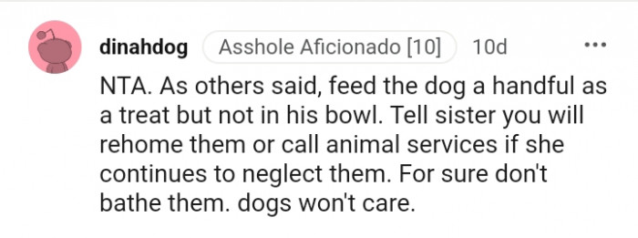 Feed the dog a handful as a treat