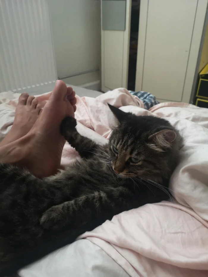 21. "Stop it, human. I'm tired!"