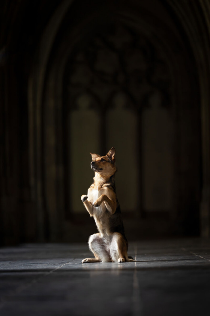 9. Majestic stance