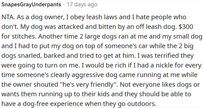 Not everyone likes dogs or wants them running up to their kids