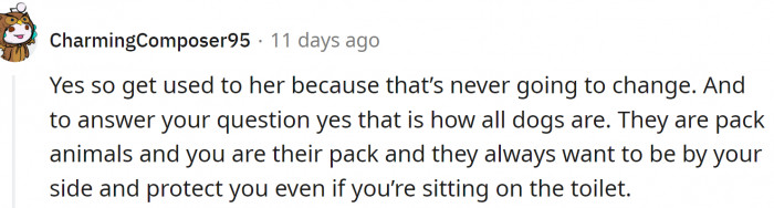 Dogs are pack animals. But they can learn boundaries