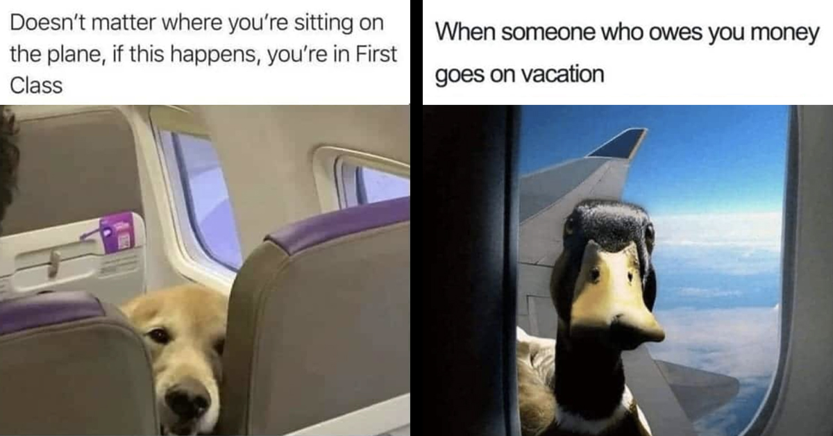 43 Hilarious Summer Vacation Memes To Laugh Off Your Sunburns