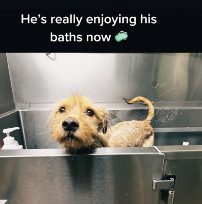 He also likes to keep squeaky clean, or maybe he's just prepping for the next surgery