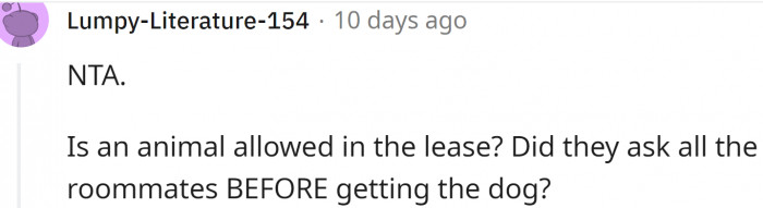 Is an animal allowed in the lease?