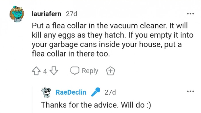 This Redditor is advising the OP to use a flea collar