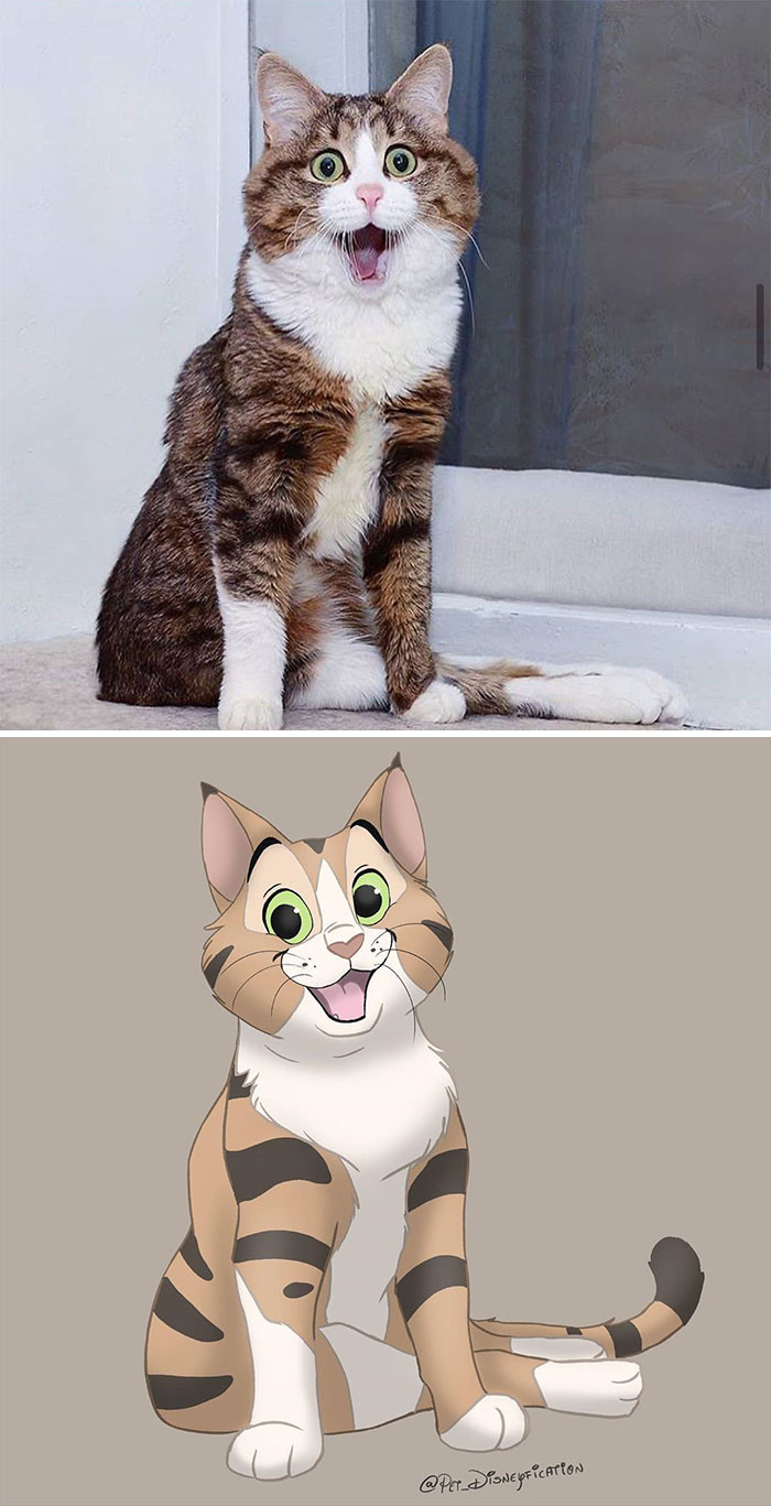34. Rexi is capable of making the funniest expressions! 😻