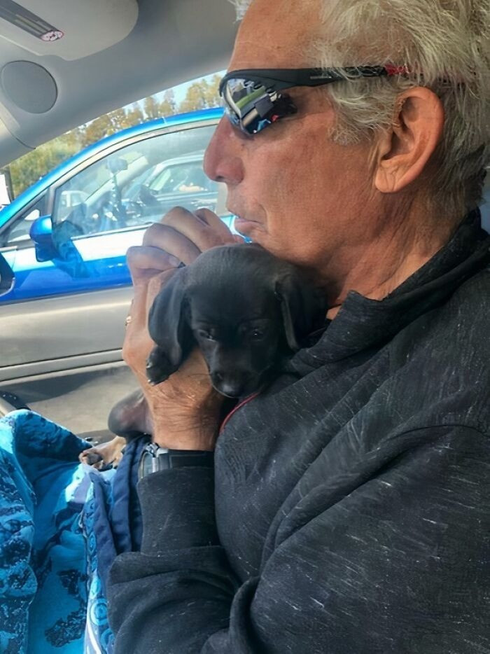 "My Dad Didn’t Want A Dog. I Watched Him Cry At The Shelter When This Guy Sat On His Lap. I Knew It Was All Over. Welcome Home Beni"