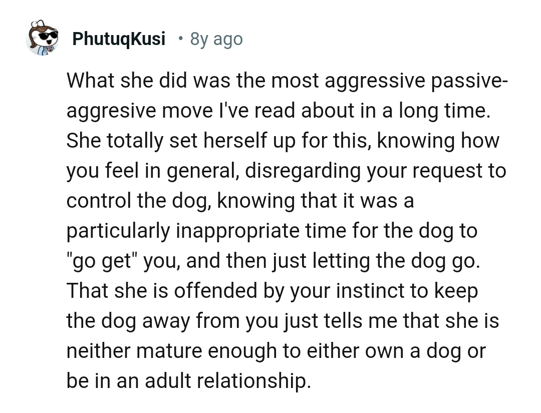 It was an inappropriate time for the dog to jump on the OP