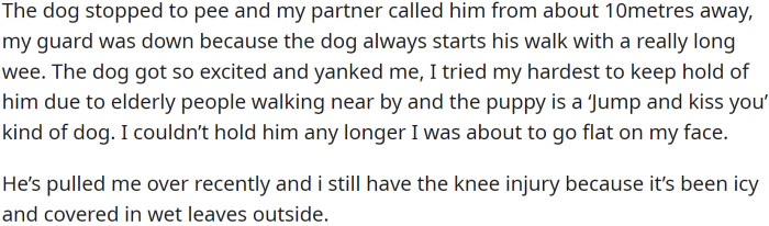 OP's partner knows how easily the dog gets excited
