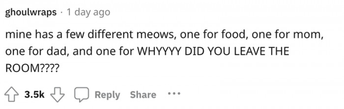 1. A cat of few meows