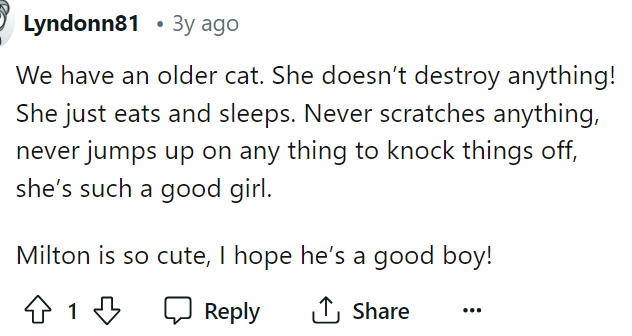 Some people have had good experiences with their cats, while others just haven't had the best experiences with them.