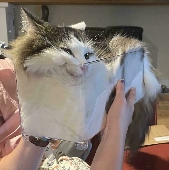 41. Tough Economy, Liquidating My Assets