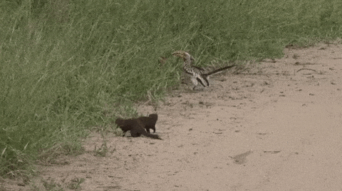 7. Hey look, i'm dead!