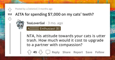 Woman Decides To Spend $7000 On Her Cats' Teeth, Husband Says She Should Have Euthanized Them Instead