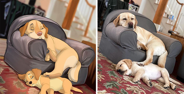 30. I came across this picture of Stella and Mabel from @dognamedstella and it’s too sweet not to draw! 🥰