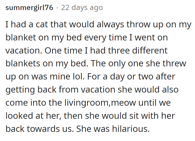 This Redditor also had a vindictive cat:
