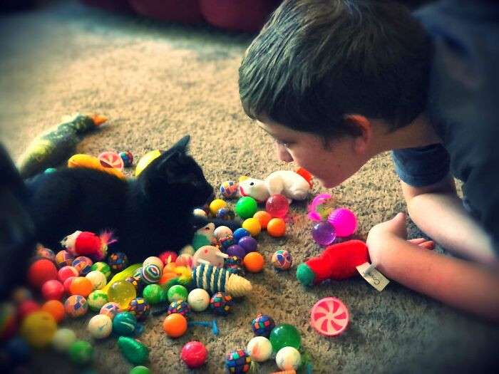 7. "My autistic son is showing off his cat-toy collection to his newly adopted shelter kitty."