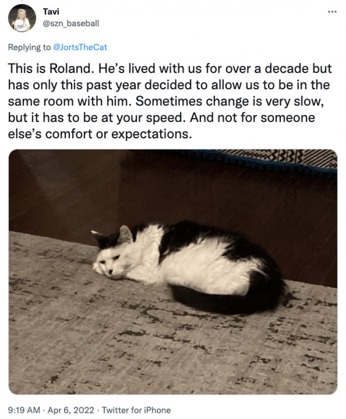 However, when they see consistency in your reassurances, they'll soon trust you.