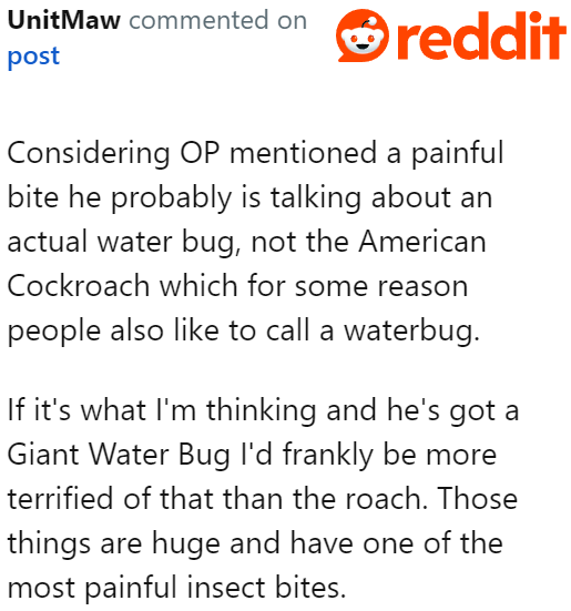 Other people would be terrified if someone in their home kept it as a pet.