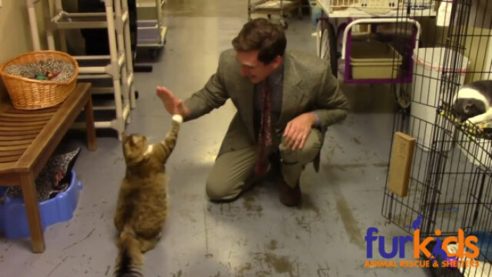 And stars Paul Preston, a local contractor with an Atlanta rental property management company.