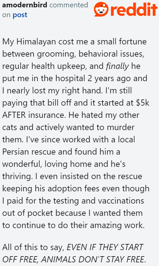 In fact, owners like this Redditor end up spending thousands of dollars because of a cat.