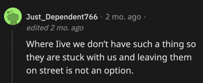 Unfortunately, OP's country doesn't have an Animal Control department, and OP also doesn't want to just abandon the cats out on the streets