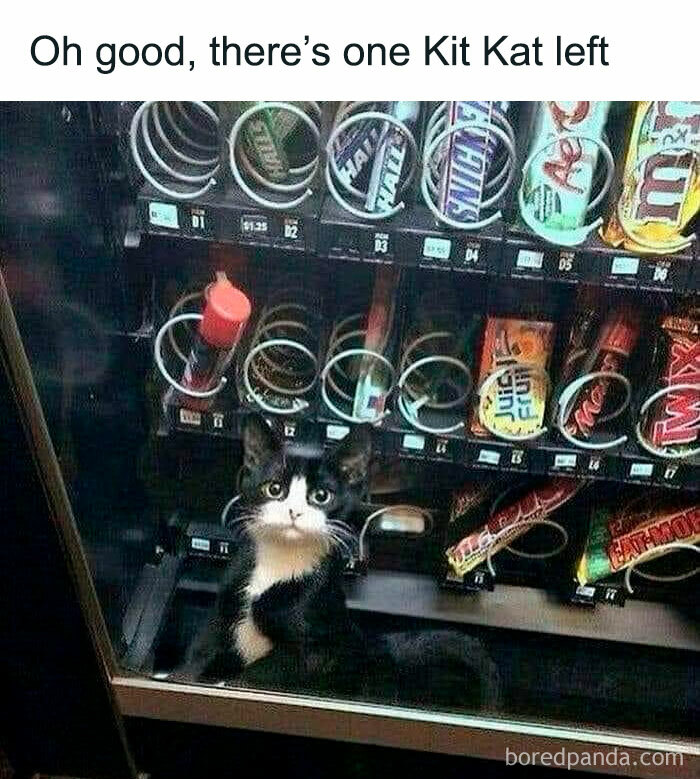 27. I'll have that