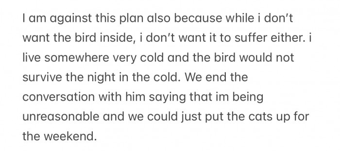 OP feared the bird would suffer in those conditions.