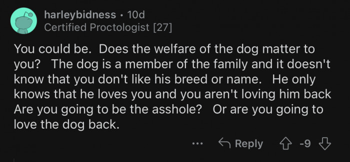 Op can't just reject the dog's love because of her personal reasons.
