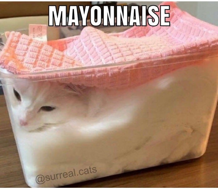 42. Don't be fooled!