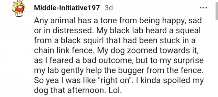 3. I kinda spoiled my dog that afternoon