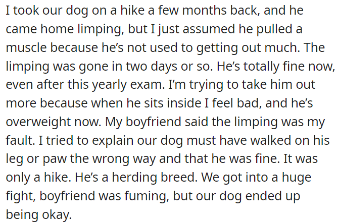 OP took the dog hiking a few months ago, and he came back limping; her boyfriend blamed her for the limping.