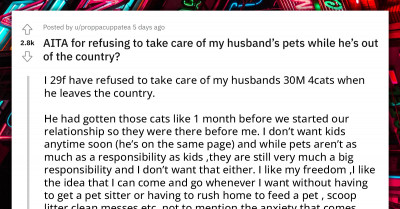 Wife Refuses To Take Care Of Husband's 4 Cats While He's Abroad On A 3-Year Work Contract
