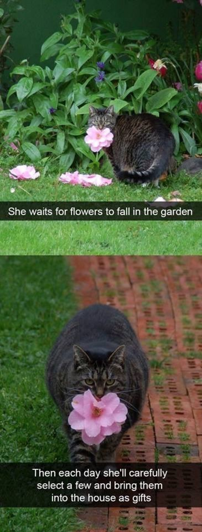 16. Oh, how thoughtful...