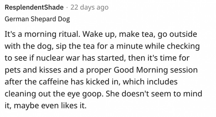 It has become a morning ritual for this commenter