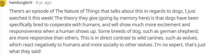 10. This is a direct contrast to wild canines