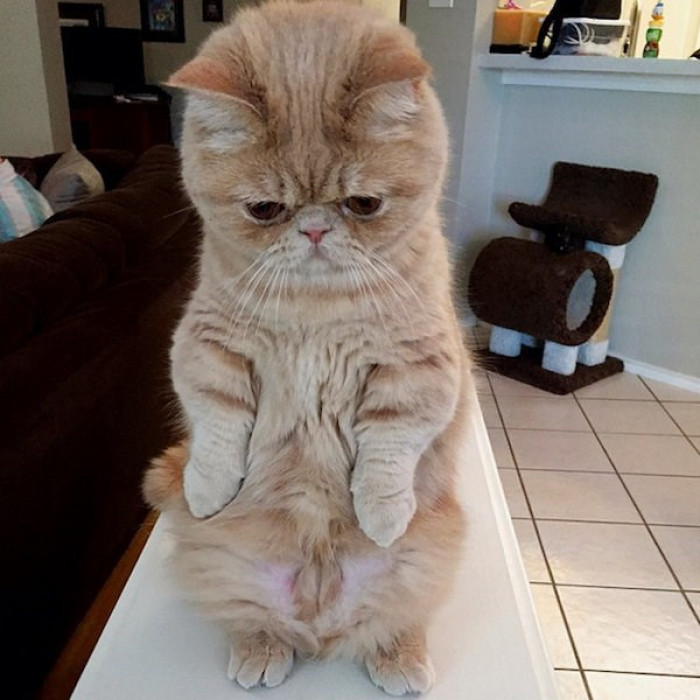 7. I just want some more snacks, mama