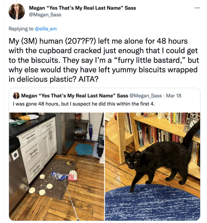 As the cat motto goes, ‘everything that’s yours is mine and everything that’s mine is mine only’