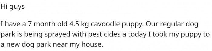 OP has a 7-month-old small puppy. Since their regular dog park was unavailable, they went to a different dog park.